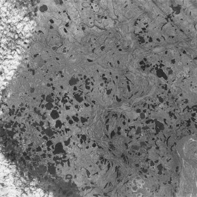 Northern Sakha Region, Russia